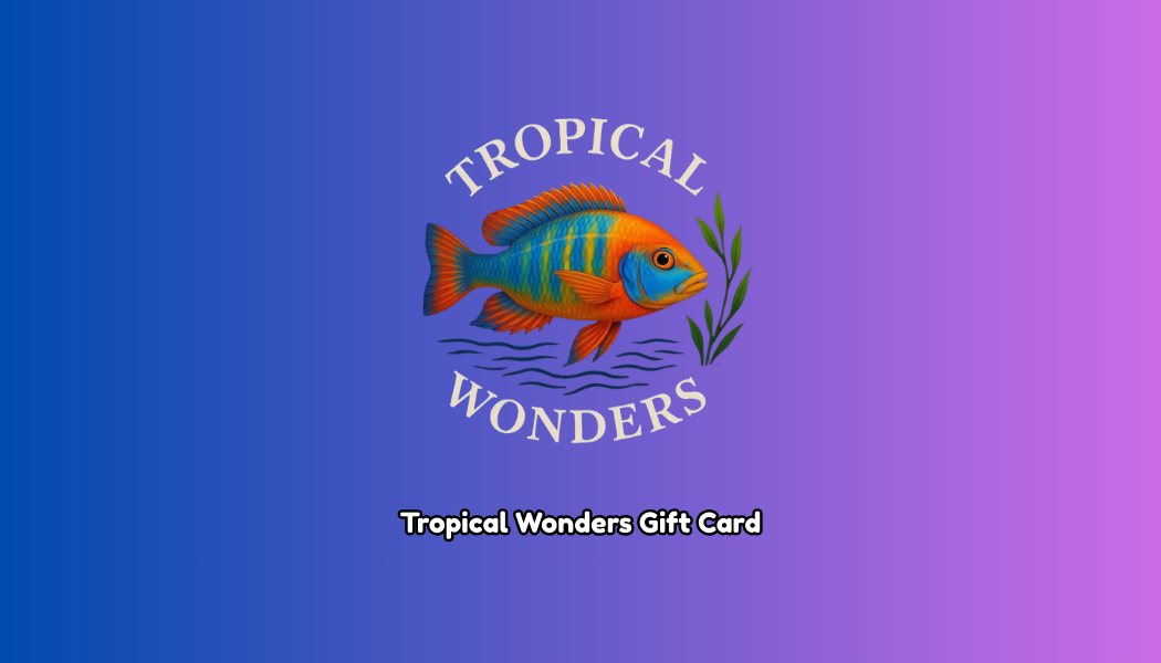 Gift Card's
