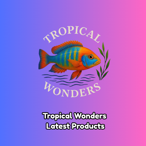 Latest Products