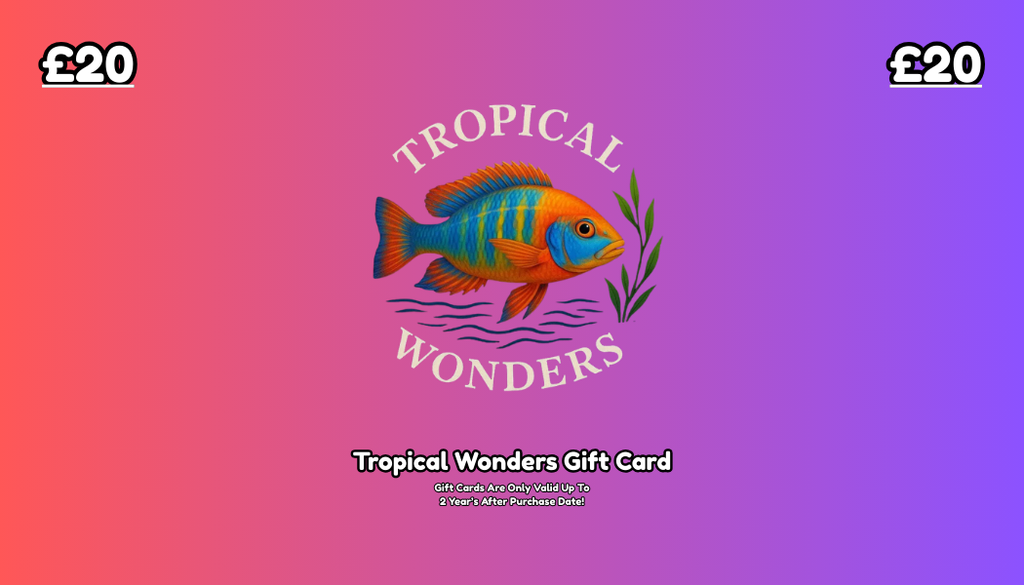 Tropical Wonder's Gift Card