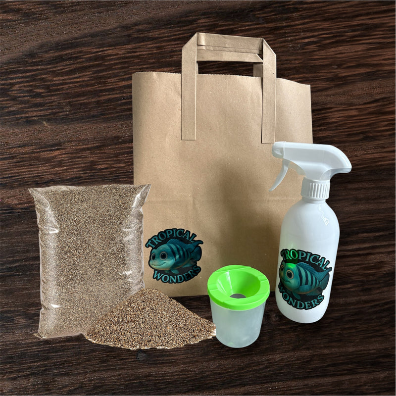 Phasmid essential pack