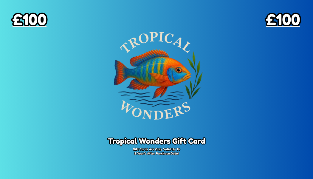Tropical Wonder's Gift Card