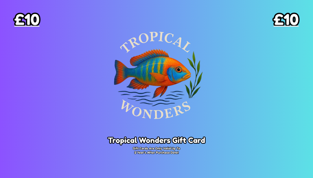 Tropical Wonder's Gift Card