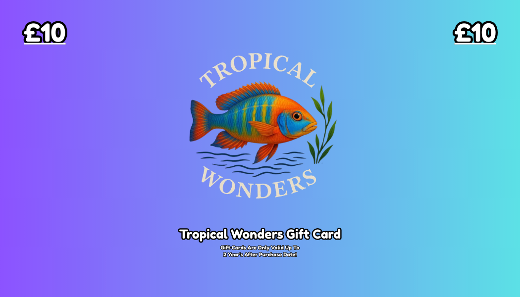 Tropical Wonder's Gift Card