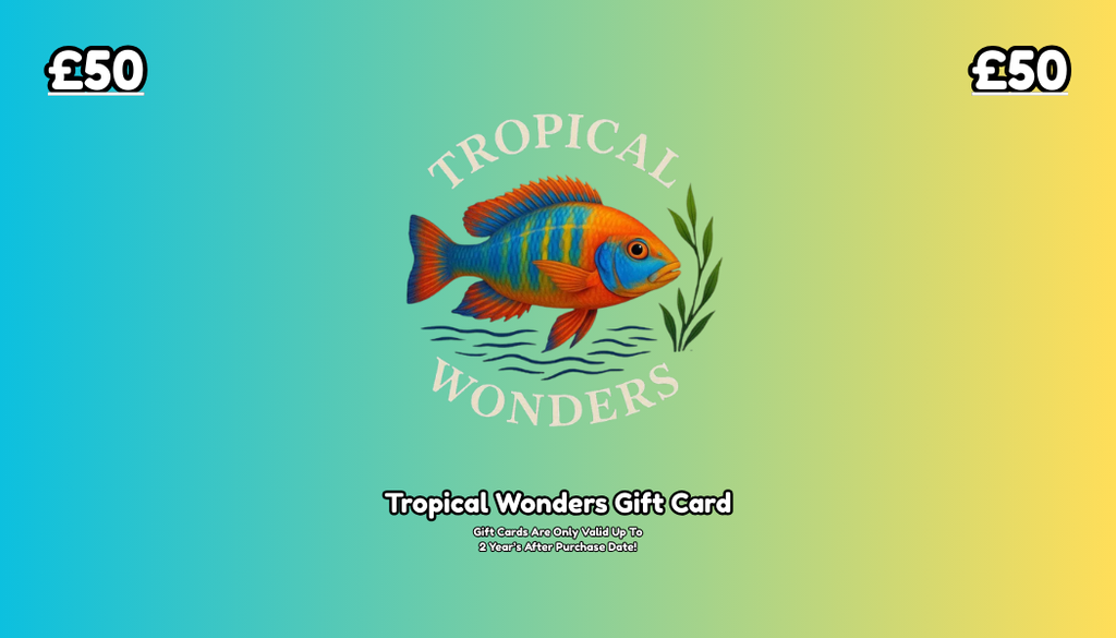 Tropical Wonder's Gift Card