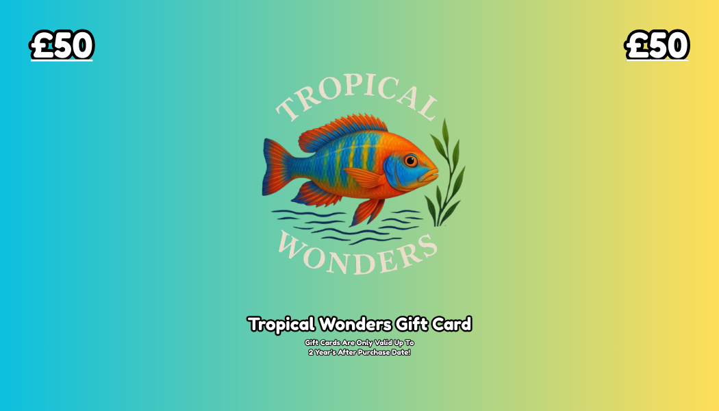 Tropical Wonder's Gift Card