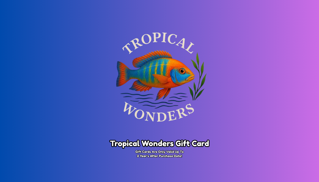 Tropical Wonder's Gift Card